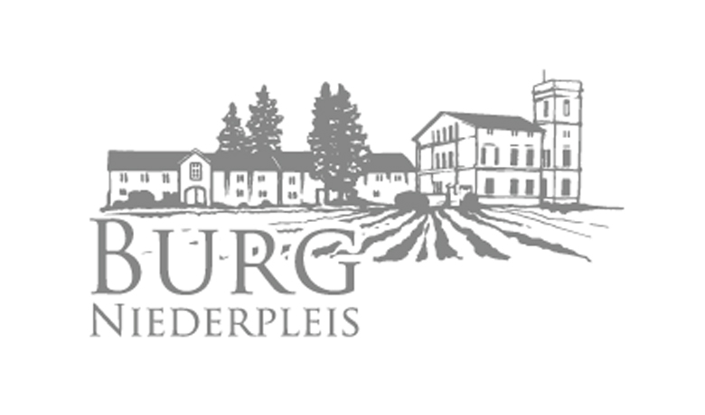 Logo Burg Niederpleis